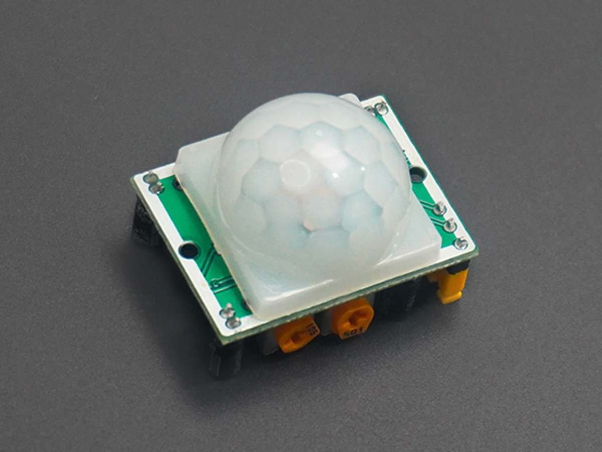 PIR Motion Sensor