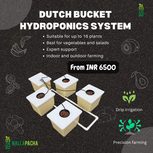 Dutch bucket hydroponics system