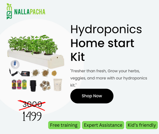 Hydroponics Home Start Kit